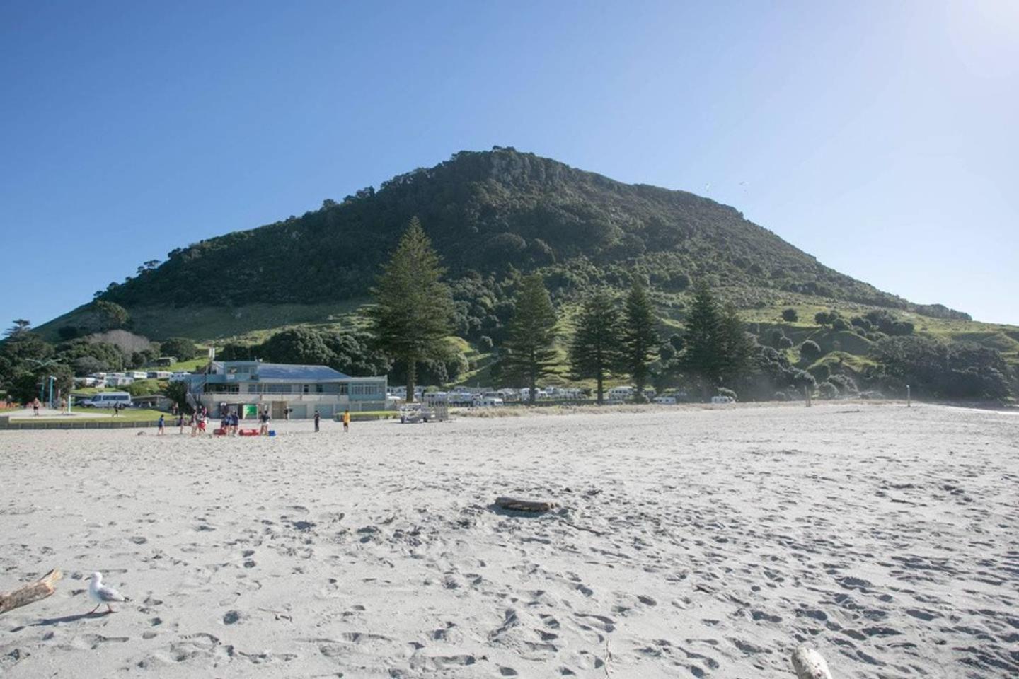 Luxury Ocean & Harbour Views - Heated Pool, Main Beach & Gym Mount Maunganui Exterior photo